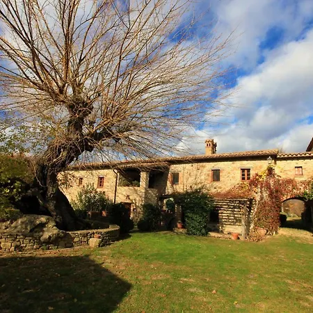 Antico Gelso Izzalini